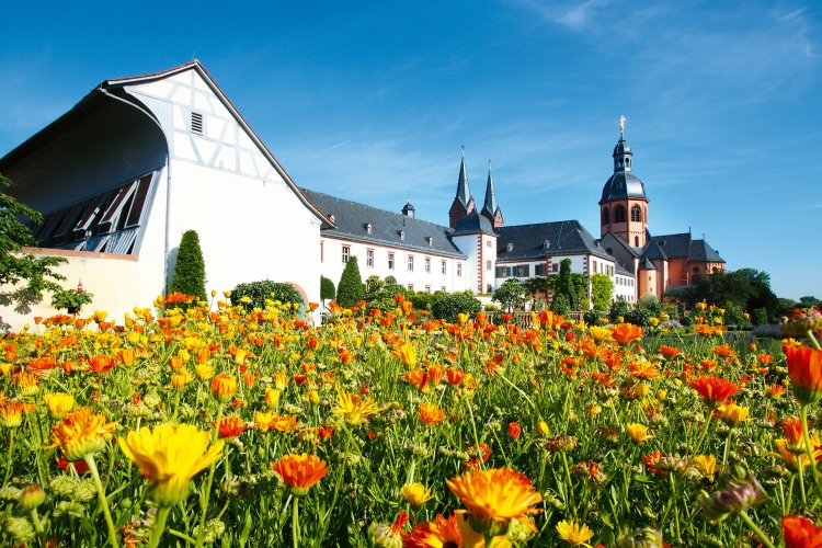 Haltestellen und Parkplätze